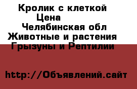 Кролик с клеткой › Цена ­ 2 200 - Челябинская обл. Животные и растения » Грызуны и Рептилии   